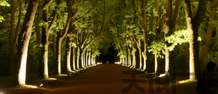 LED投射灯和LED投光灯是一样的吗？(图1)