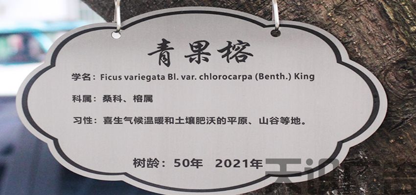 不锈钢树木绿植名称挂牌标识牌(图1)