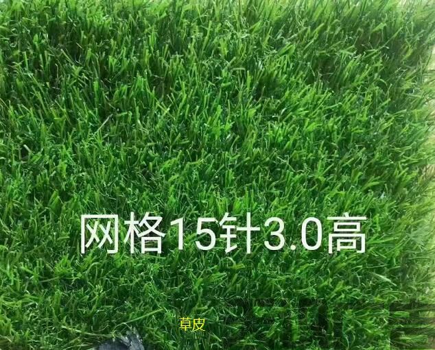人造草皮的价格受什么影响呢(图1)