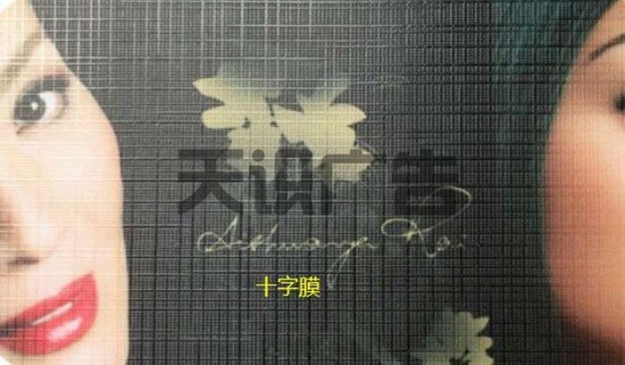 十字膜是什么 (图1)