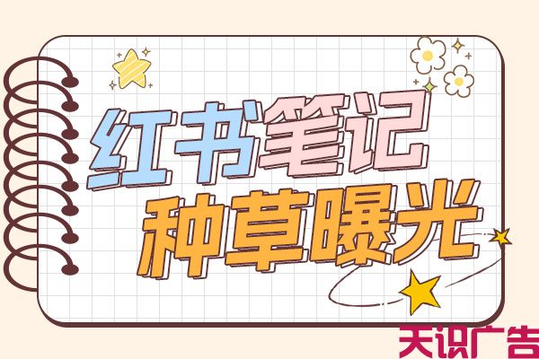 耳机小红书种草方案(图1)