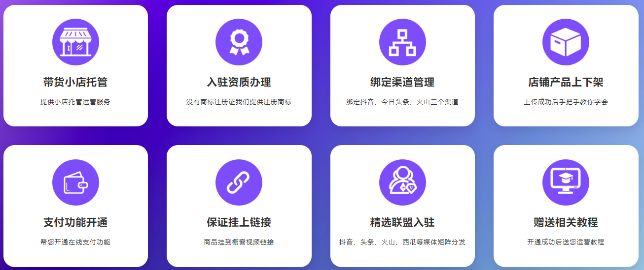 抖音抖店直通车代运营价格(图10)